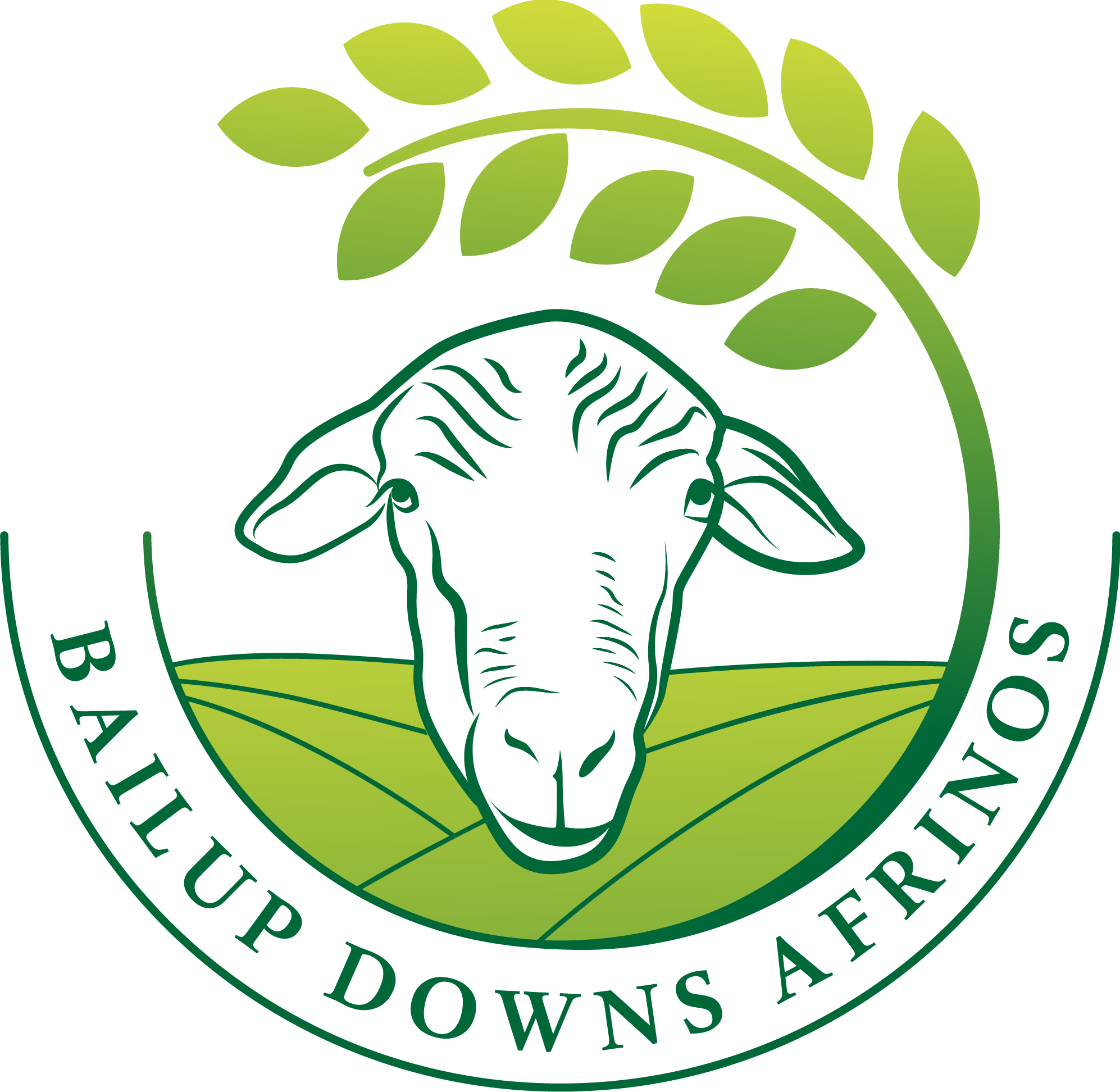 Bailup Downs Afrinos